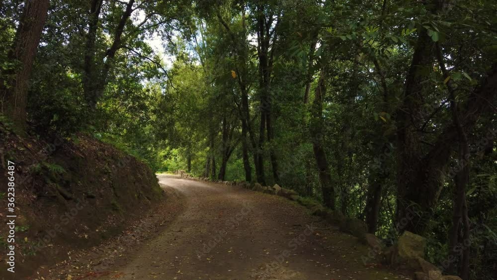 Amazing and relaxing path in the forest. hiking trail Surrounded by trees Amazing and relaxing path in the forest. hiking trail Surrounded by trees