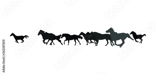 herd of running wild horses on the white background
