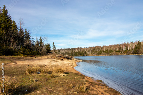 Wanderung um den Oderteich, Harz - 1