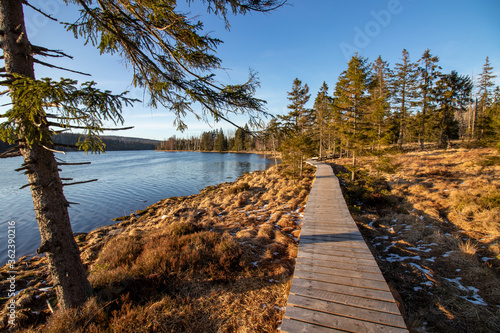 Wanderung um den Oderteich, Harz - 20