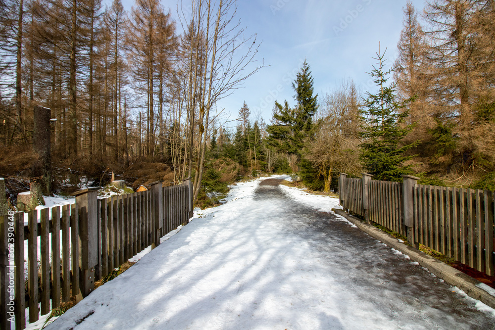 Wanderung auf den Brocken im Winter, Harz - 3 Wanderung auf den Brocken im Winter, Harz - 3