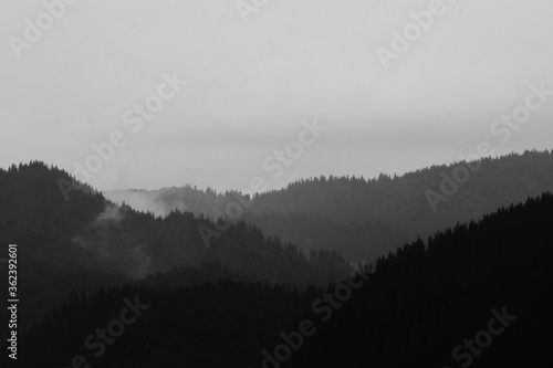 fog over mountains forests