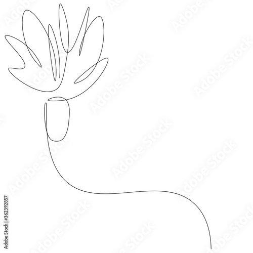 Plant in pot on white background, vector illustration