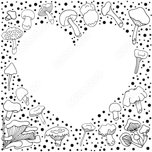 Mushrooms. . Doodle style. Vector isolated illustration with chanterelles, russules, oyster mushrooms, white mushrooms on a white background. Design of logos, books, albums, and magazines. 