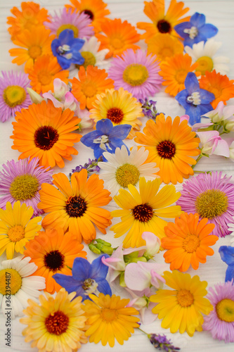 Top view of many colorful flowers on a wooden background. Vertical. © Валерия Зеленева