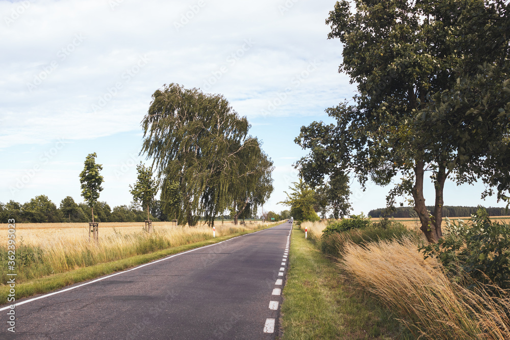 Country road in Poland