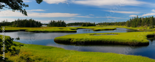 Panorama of tide pool water with salt marsh cordgrass on Cape Sable Island Nova Scotia photo