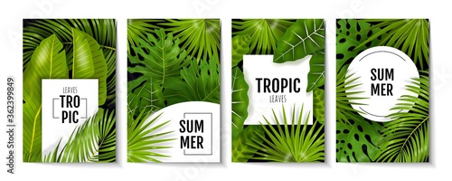 Tropic leaves posters. Exotic greenery and banana palm leaves, greeting cards and invitation flyers with monstera plants. Vector illustration background with green foliage, banner or flyer design