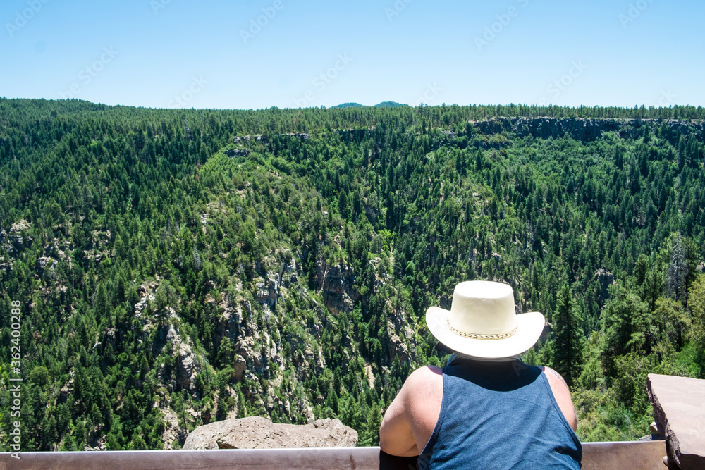 Man Looking at Forest