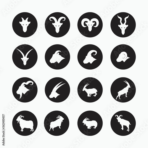 sheep, goat, billy goat, angora goat set icon - mammal, animal vector icon