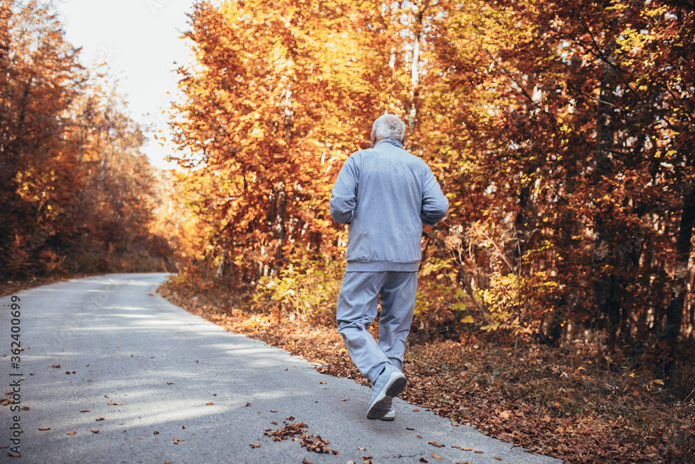 Senior runner in nature. Elderly sporty man running in forest during morning workout. Healthy and active lifestyle at any age concept