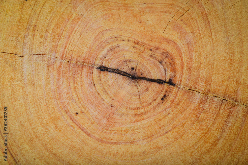 Naklejka premium wood texture background