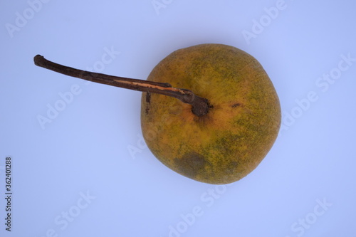 Santol One Isolate effect on a white background