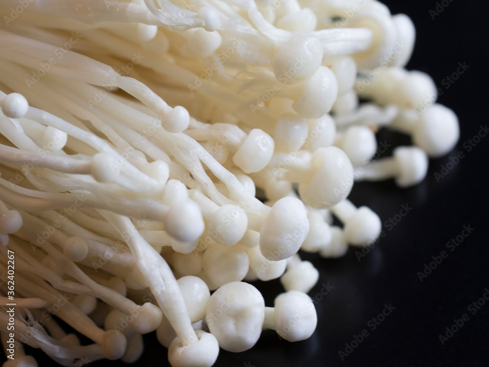 Enokitake or enoki Flammulina velutipes white mushroom on black background close up macro used i food and salads, golden needle mushroom or lily mushroom enokitaki Enokitake or enoki Flammulina velutipes white mushroom on black background close up macro used i food and salads, golden needle mushroom or lily mushroom enokitaki