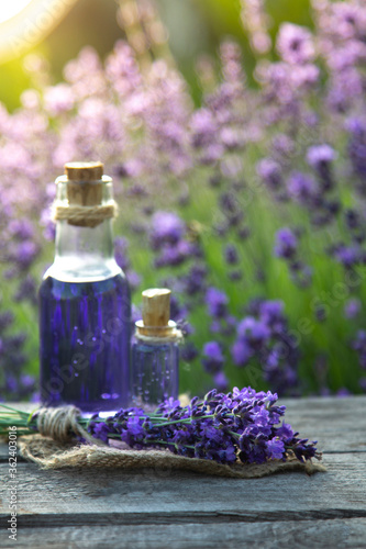 Essential oil bottle and lavender flowers field