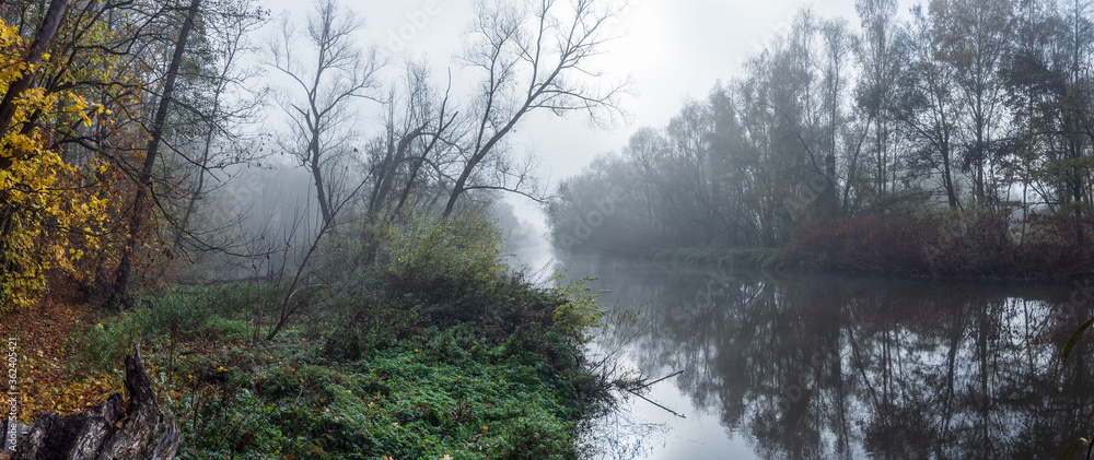 Panorama of a calm river in the the misty november forest. Fog hanging over the riverbed and trees.