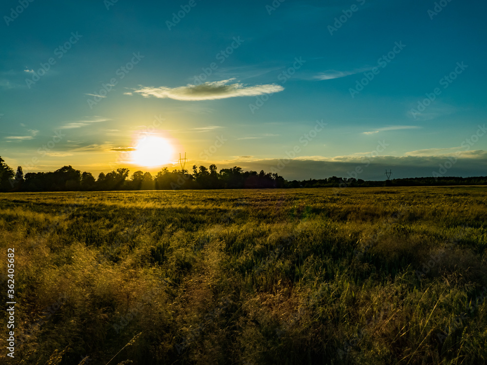 Obraz premium Zachód słońca nad równiną.