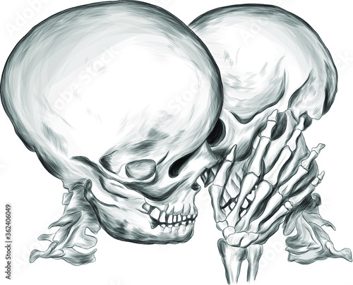 skulls kiss love vector illustration