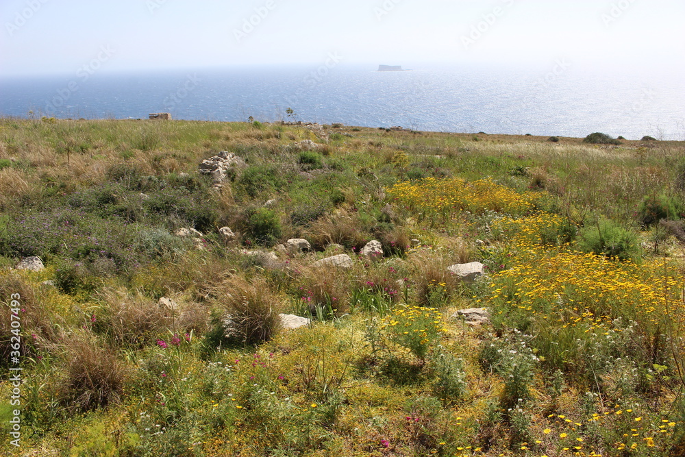 Fototapeta premium Réserve naturelle de Ghar Hanex (Malte)