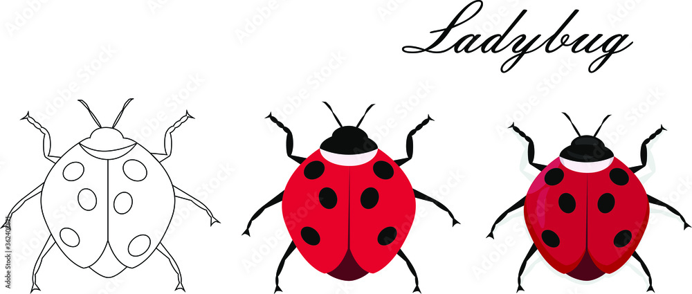 Cartoon drawing ladybug. flat style isolated on white background. vector illustration Cartoon drawing ladybug. flat style isolated on white background. vector illustration