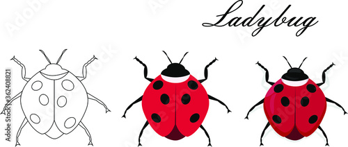 Cartoon drawing ladybug. flat style isolated on white background. vector illustration