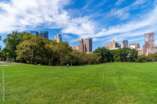 Fototapeta Naklejka Na Ścianę i Meble -  Central park at sunny day, New York City