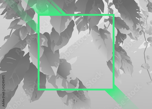 Aesthetic tropical poster, card print template with geometric and paint brush elements, black and white plants with neon green frame shape