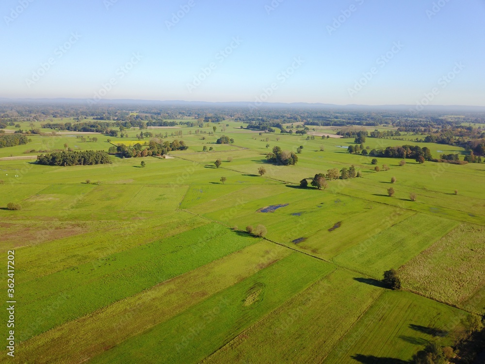 Panorama: Weitläufige Landschaft  mit Feuchtwiesen, Wiesen, Weiden, Bäume und Wald im Hintergrund im Spätsommer aus der Vogelperspektive