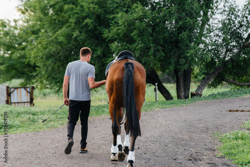 A young man stands and looks at a thoroughbred stallion on the ranch. Animal husbandry and breeding of thoroughbred horses