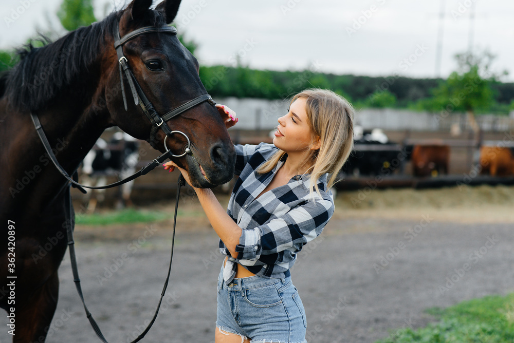 Obraz premium A young pretty girl rider poses near a thoroughbred stallion on a ranch. Horse riding, horse racing