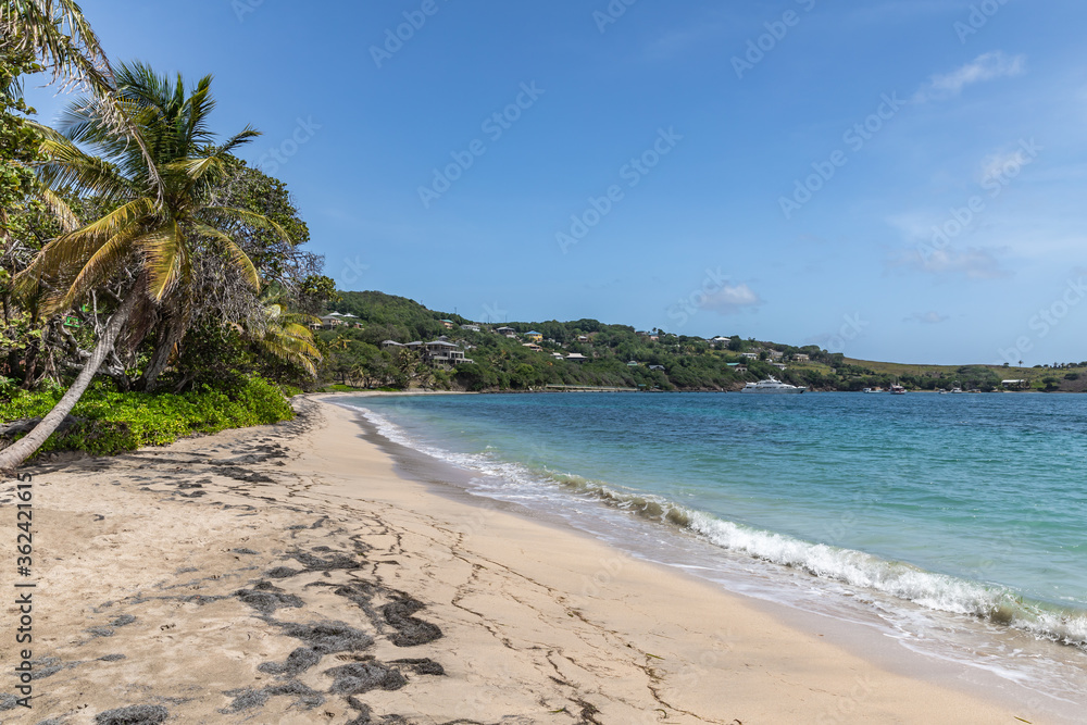 Fototapeta Saint Vincent and the Grenadines, Friendship Bay, Bequia