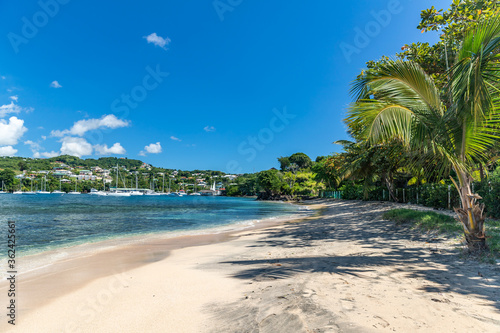 Fototapeta Naklejka Na Ścianę i Meble -  Saint Vincent and the Grenadines, Blue Lagoon