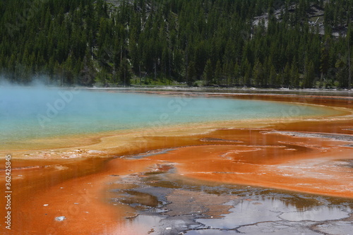 close-up of grand prismatic spring yellowstone mineral and bacteria hot spring phenomenon