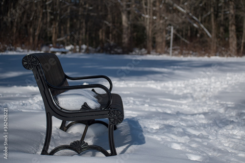 Empty park bench covered in snow after a heavy snowfall