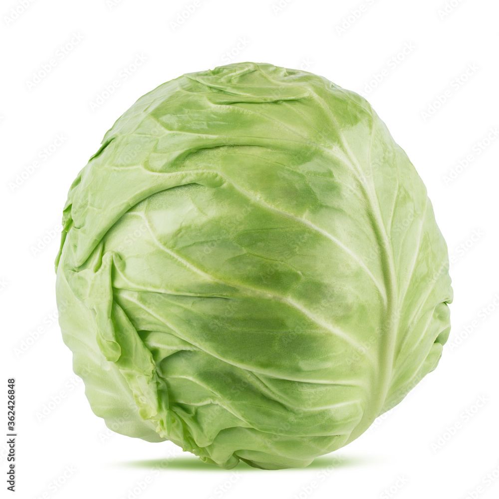 Cabbage isolated on white background Cabbage isolated on white background