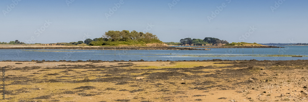 Brittany, panorama of the Morbihan gulf, view from the Ile aux Moines island, low tide
