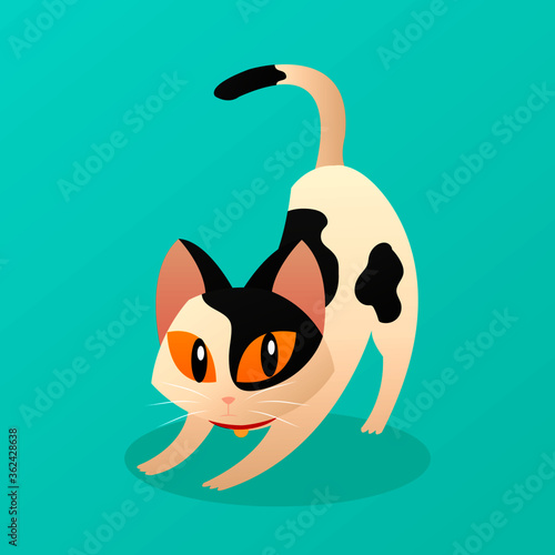 cat stretching, gato estirándose