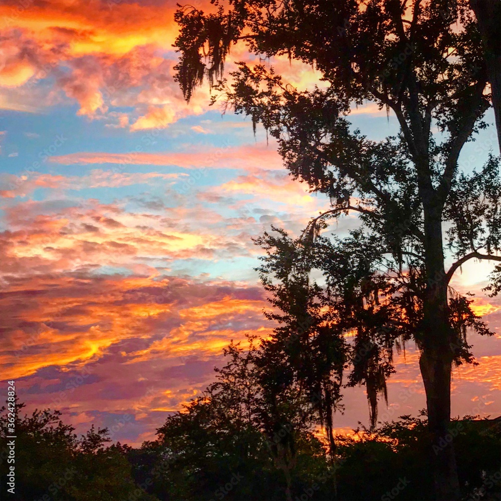 Red Sunset over the marsh in Charleston South Carolina
