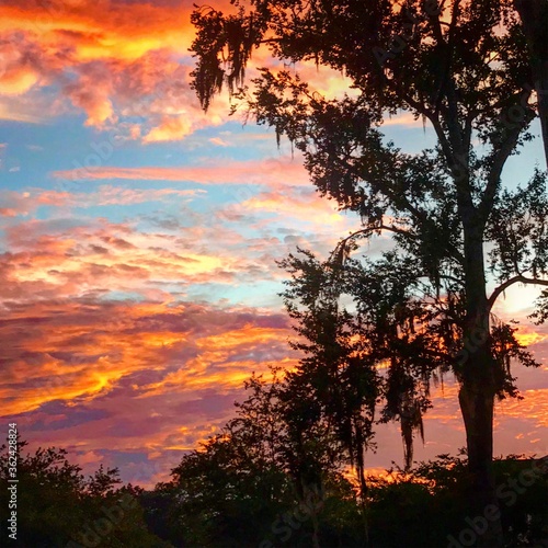 Red Sunset over the marsh in Charleston South Carolina