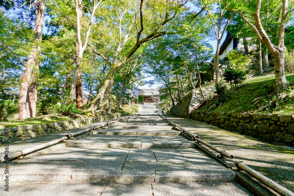 Fototapeta premium 毘沙門堂門跡