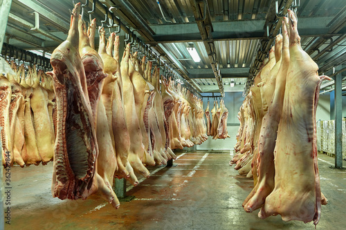 Red meat or animal products at the slaughterhouse. photo