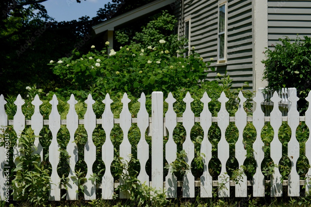 white picket fences in New England
