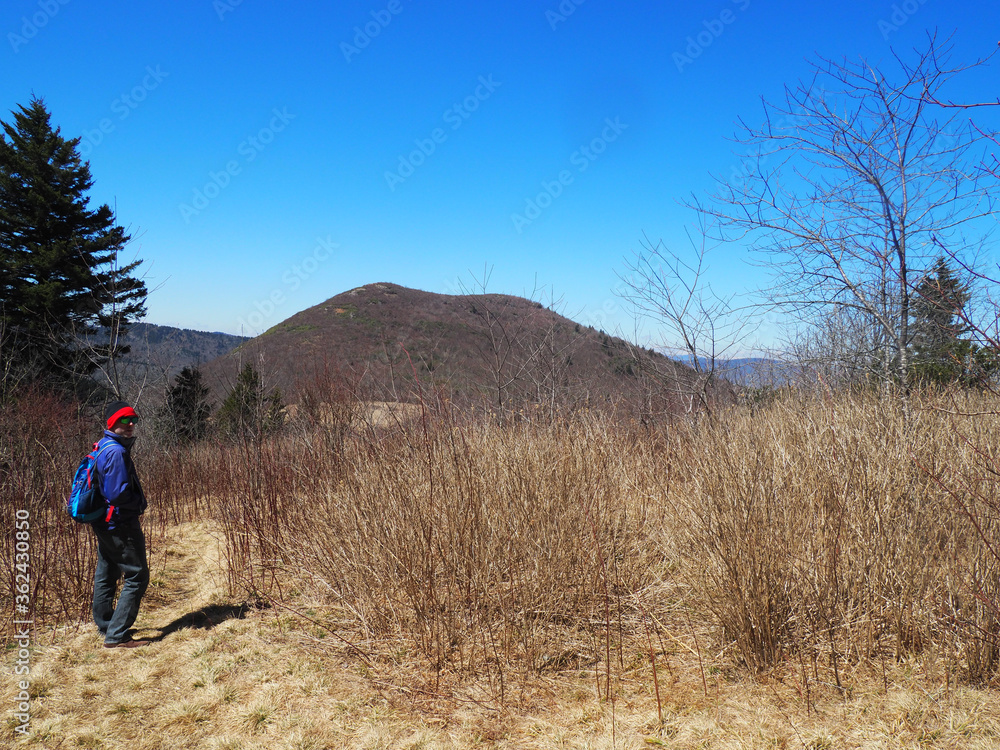 Man hiking in the woods with blue sky and mountain in the distance
