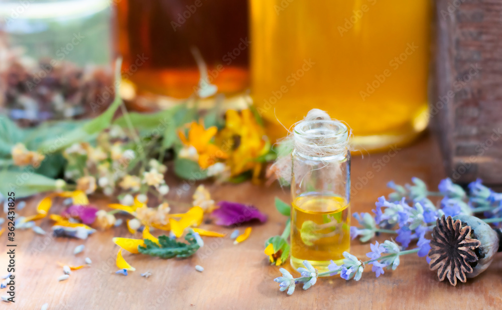fresh and dry ingredients for herbal medicine with essential oil and glass bottles on the wood table fresh and dry ingredients for herbal medicine with essential oil and glass bottles on the wood table