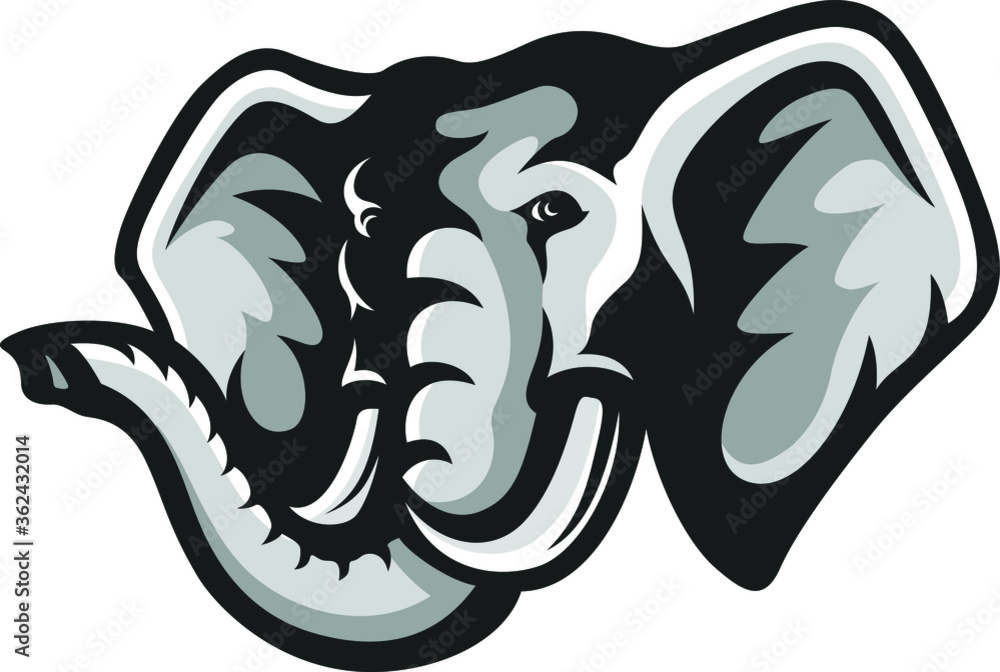 Obraz premium Head of Elephant