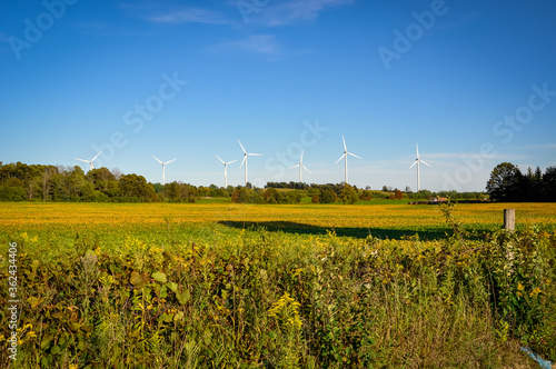 Wind turbines and blue sky photo