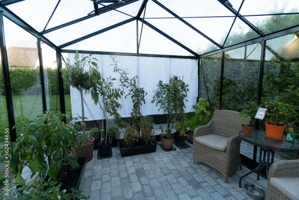 Beautiful greenhouse interior, full of herbs and vegetable plants