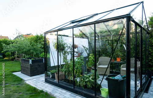 Young man tending to herbs and vegetable plants in a beautiful greenhouse
