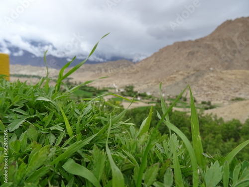 ladakh leh inde