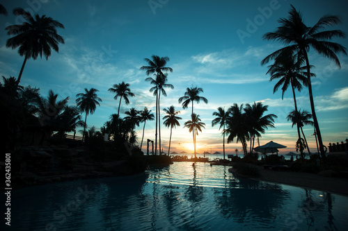 Silhouettes of palm trees on the sunset tropical beach. © De Visu